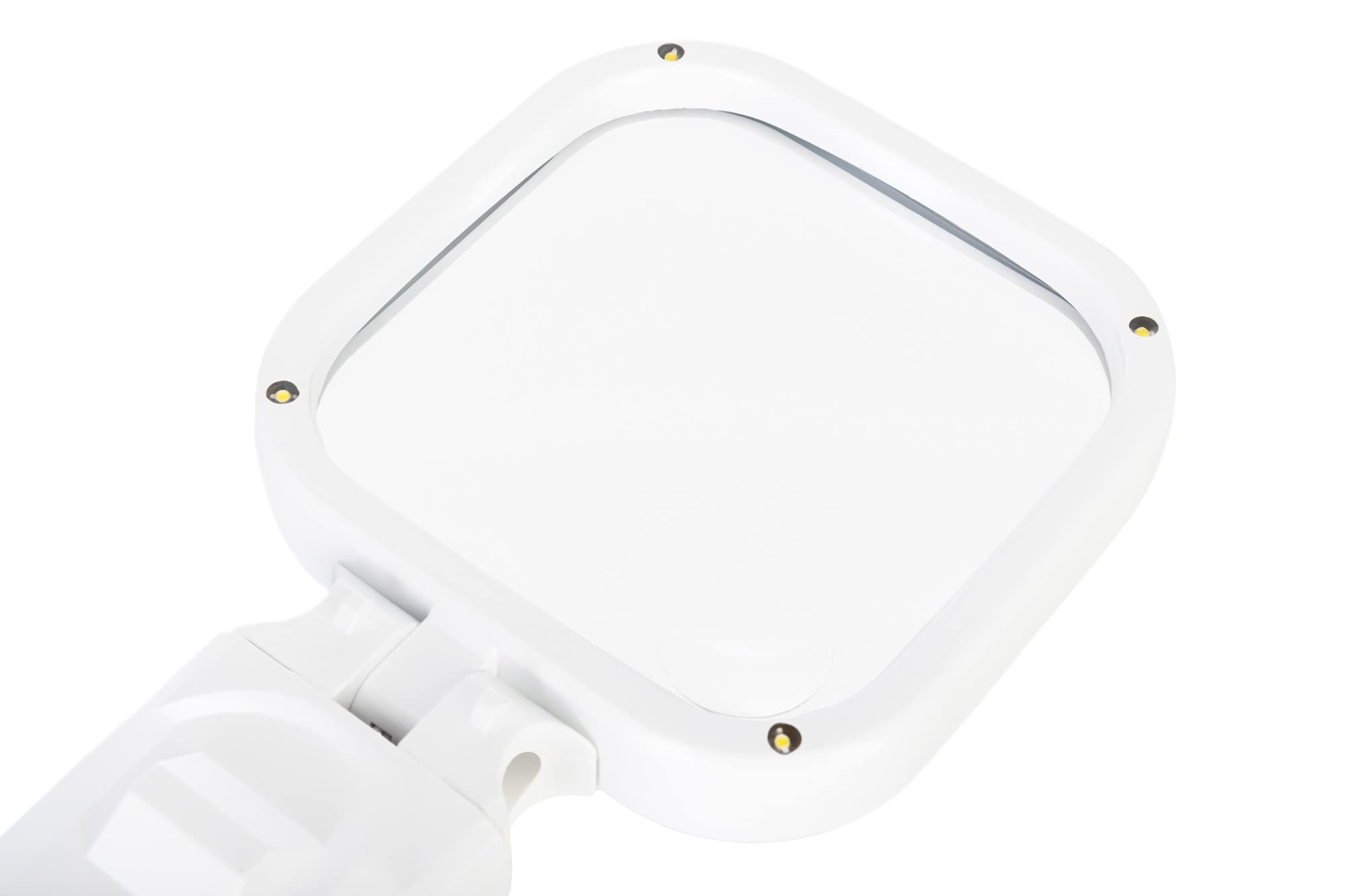 Levenhuk Zeno Read ZR10 Handlupe LED 2X 6X Weiß