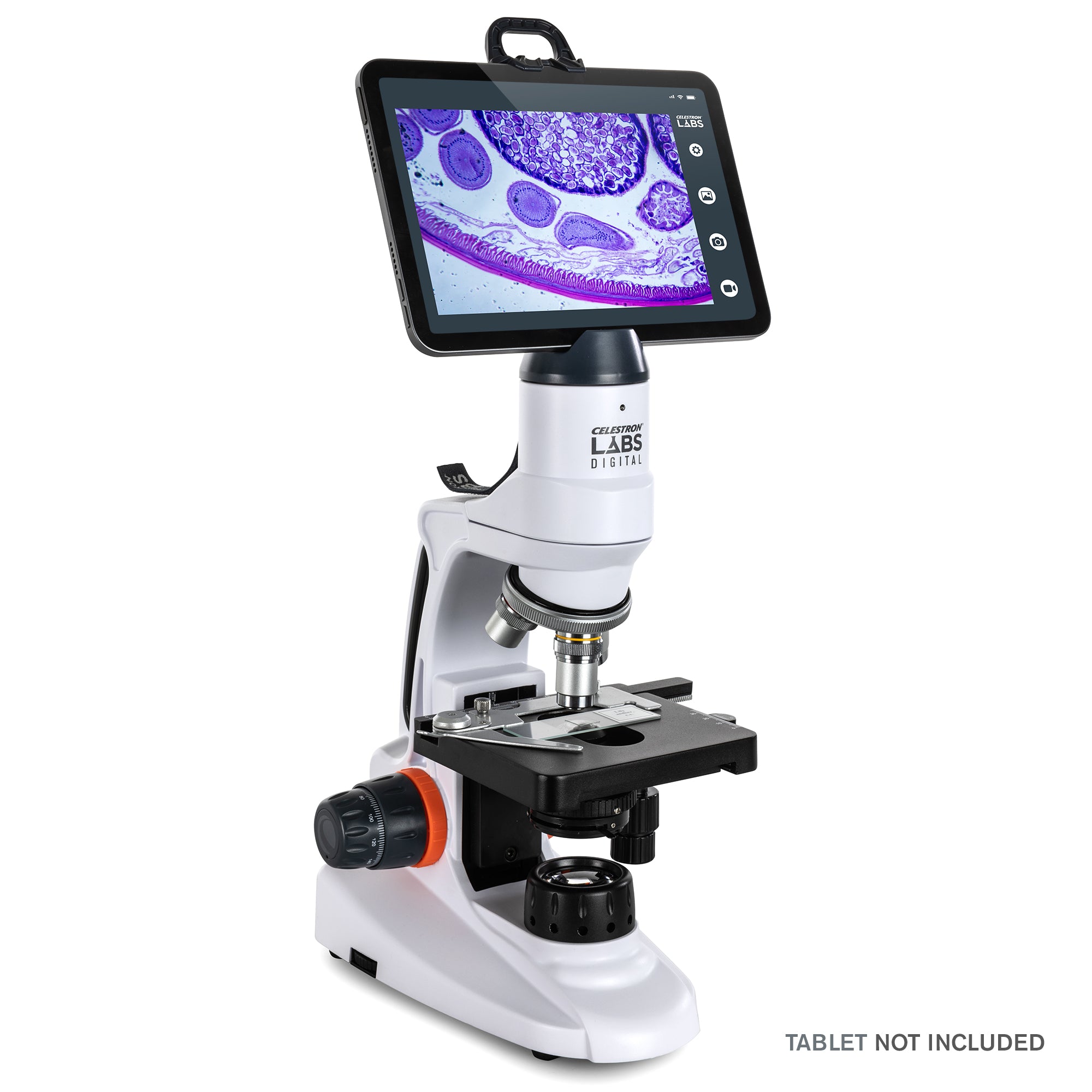 Celestron Labs WLAN-Desktop-Mikroskop Digital 480x LED
