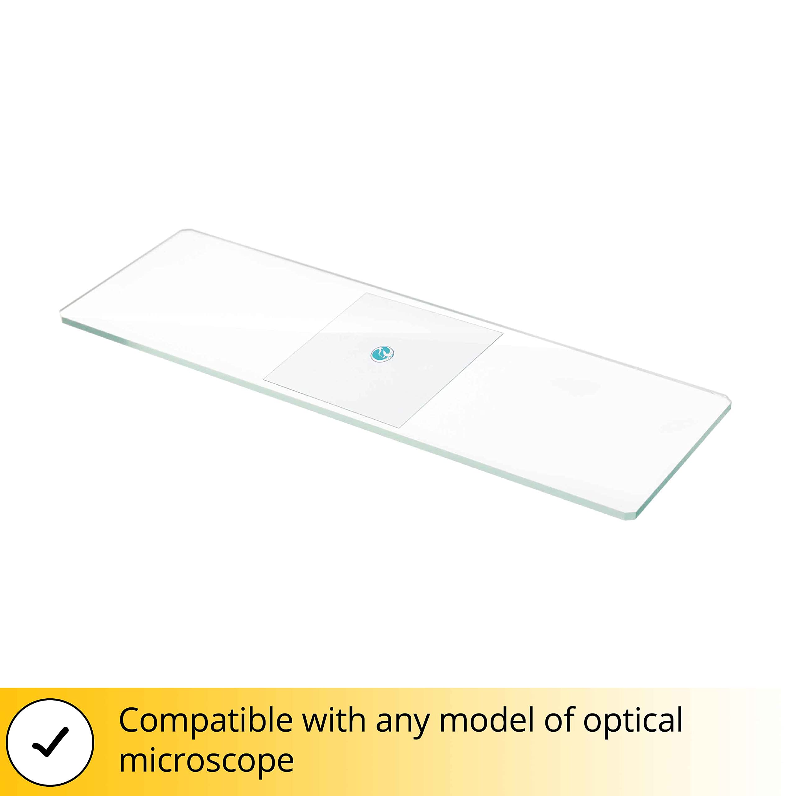 Levenhuk Discovery 50 Blank Slides Objektträger Glas 50 Stück