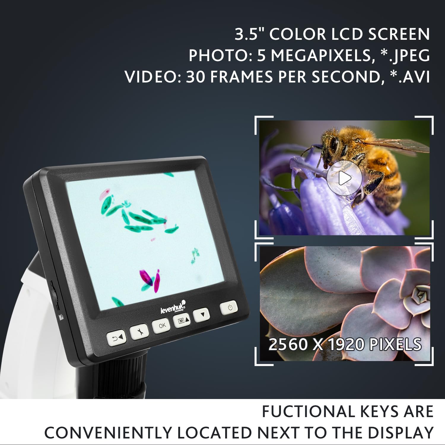Levenhuk DTX 500 LCD Digitalmikroskop 20-500x 3,5 Zoll