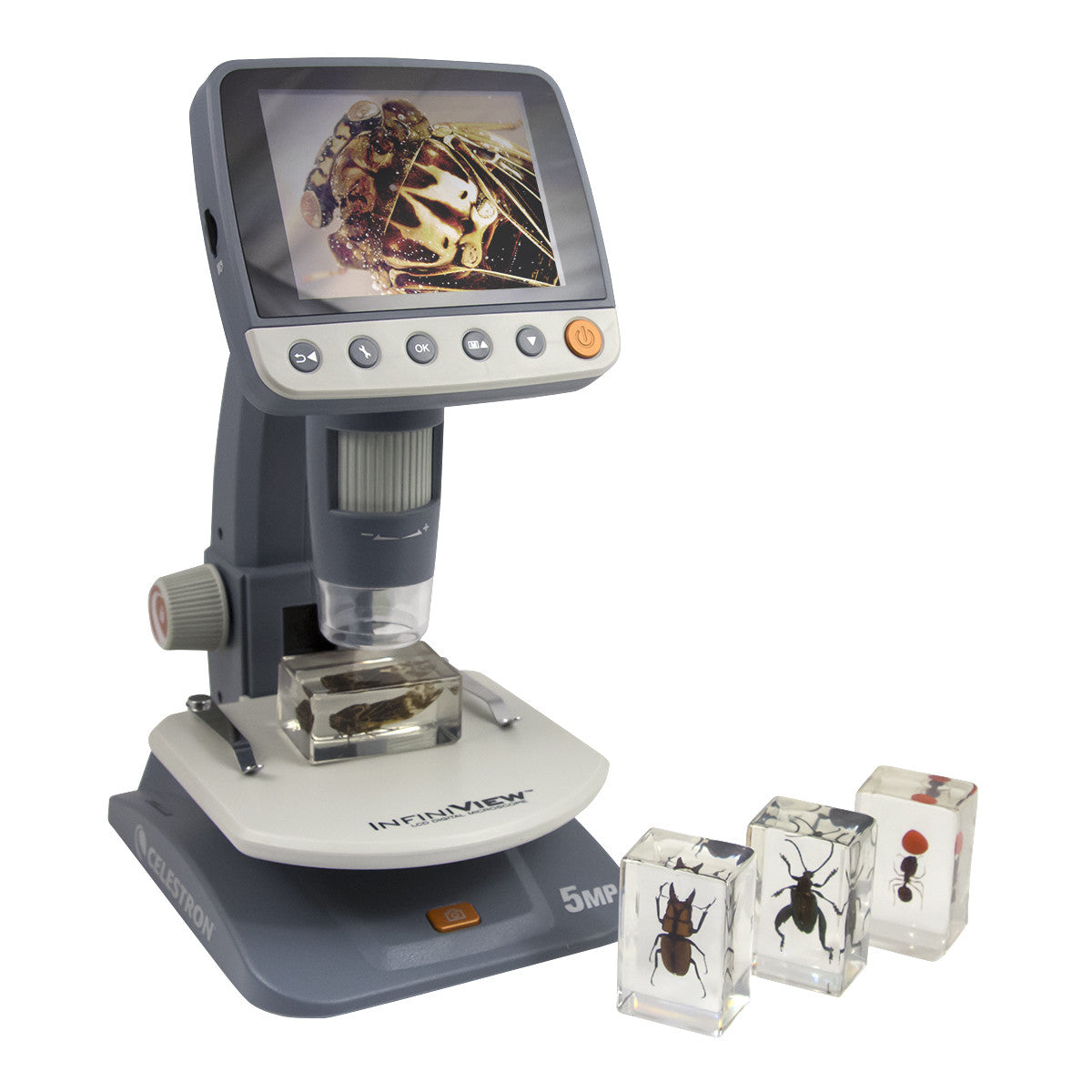 Celestron Labs 3D Insekten-Präparate Set Nr. 3 4 Stück