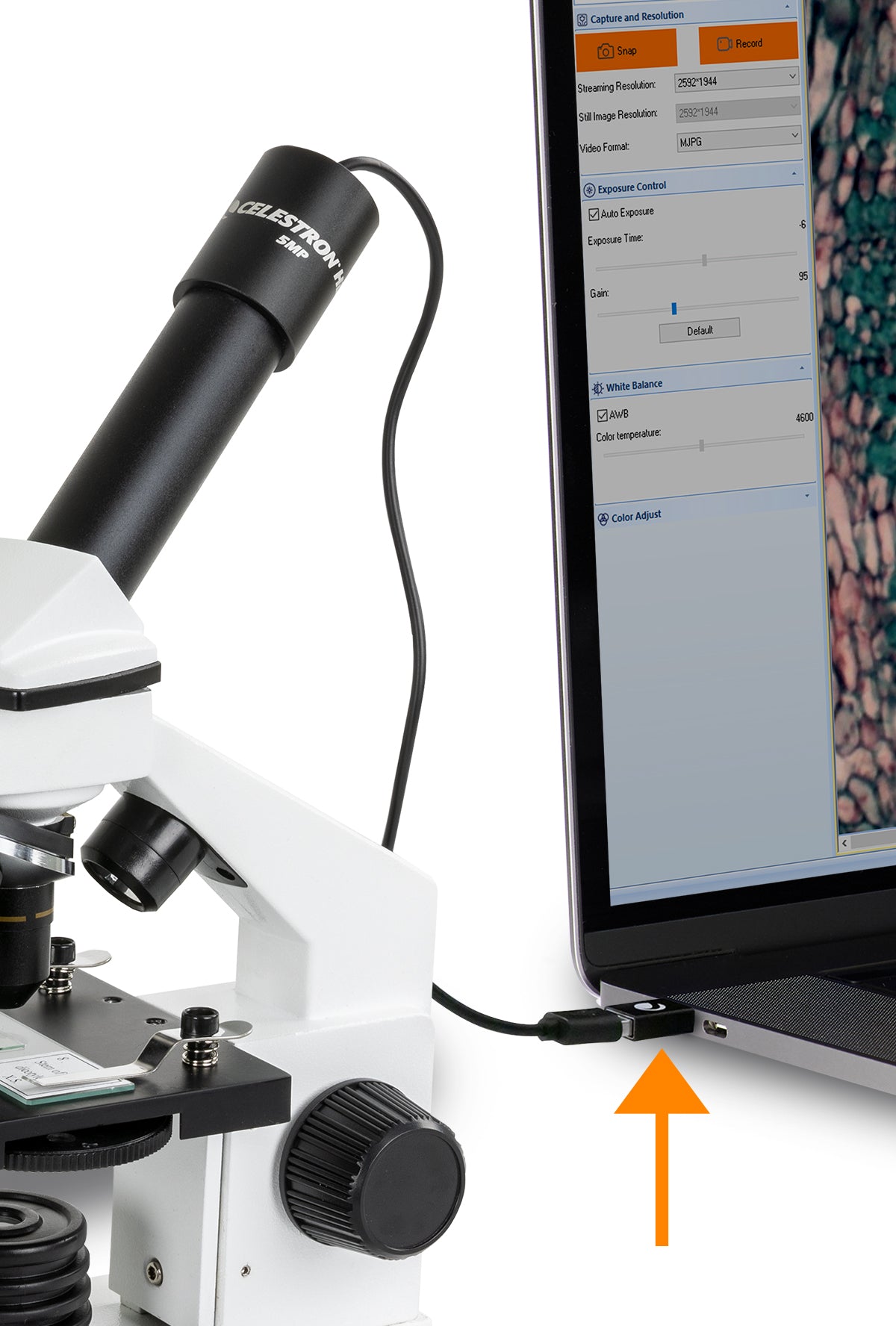 Celestron USB-C auf USB-A Adapter 2er-Pack Mikroskop
