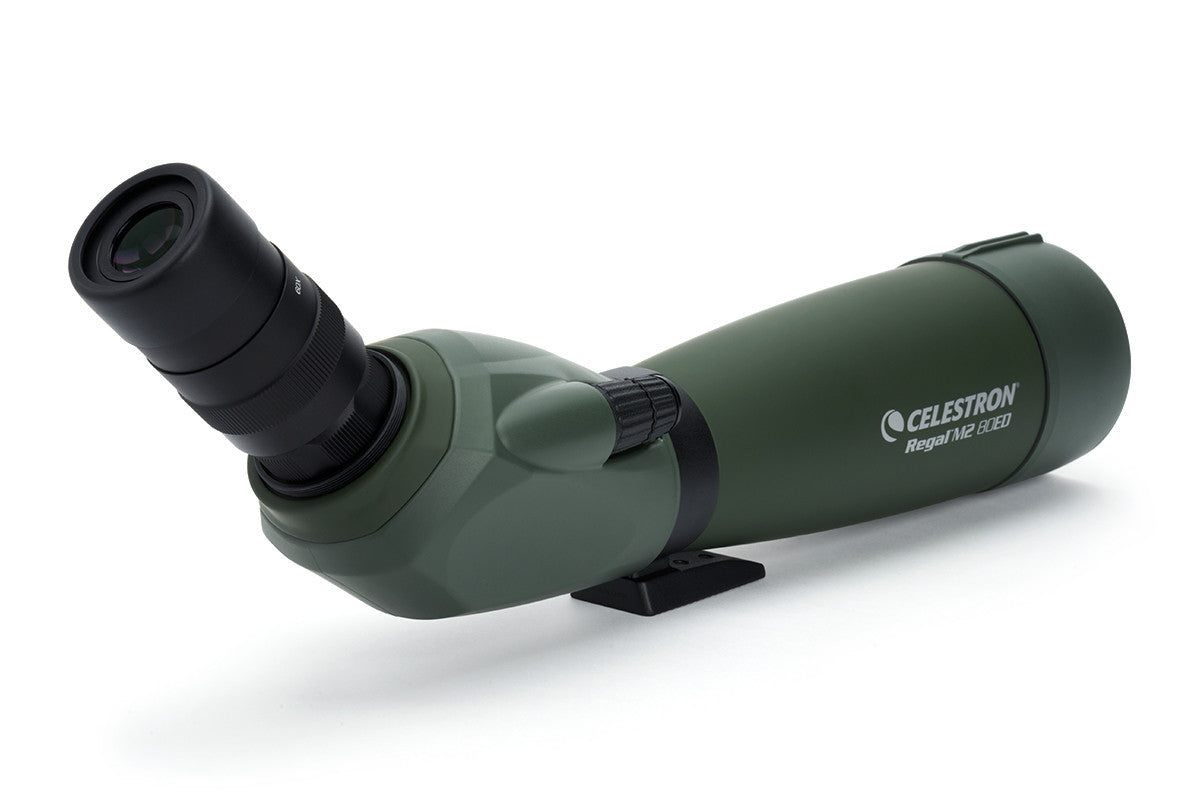 Celestron Regal M2 20-60x80 Spektiv ED abgewinkelt Zoom