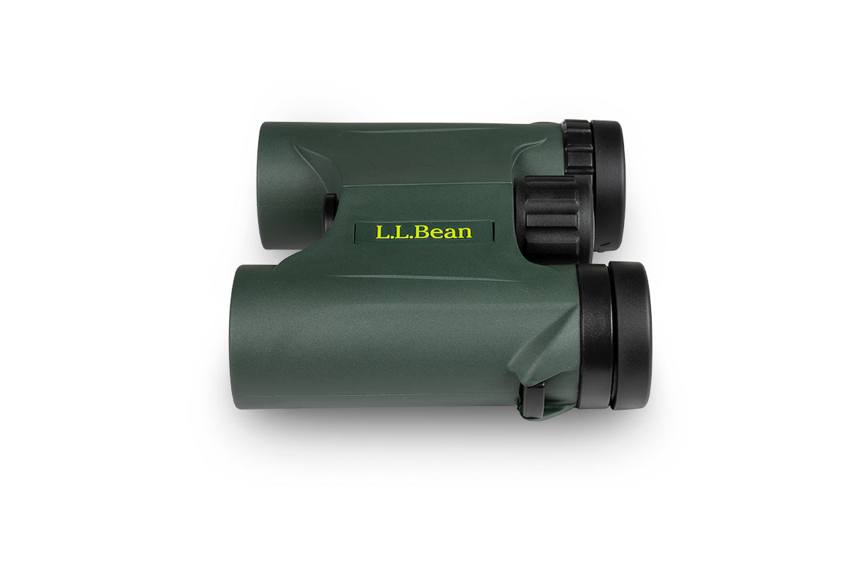 Celestron Discovery Fernglas 10x25 kompakt grün wasserdicht