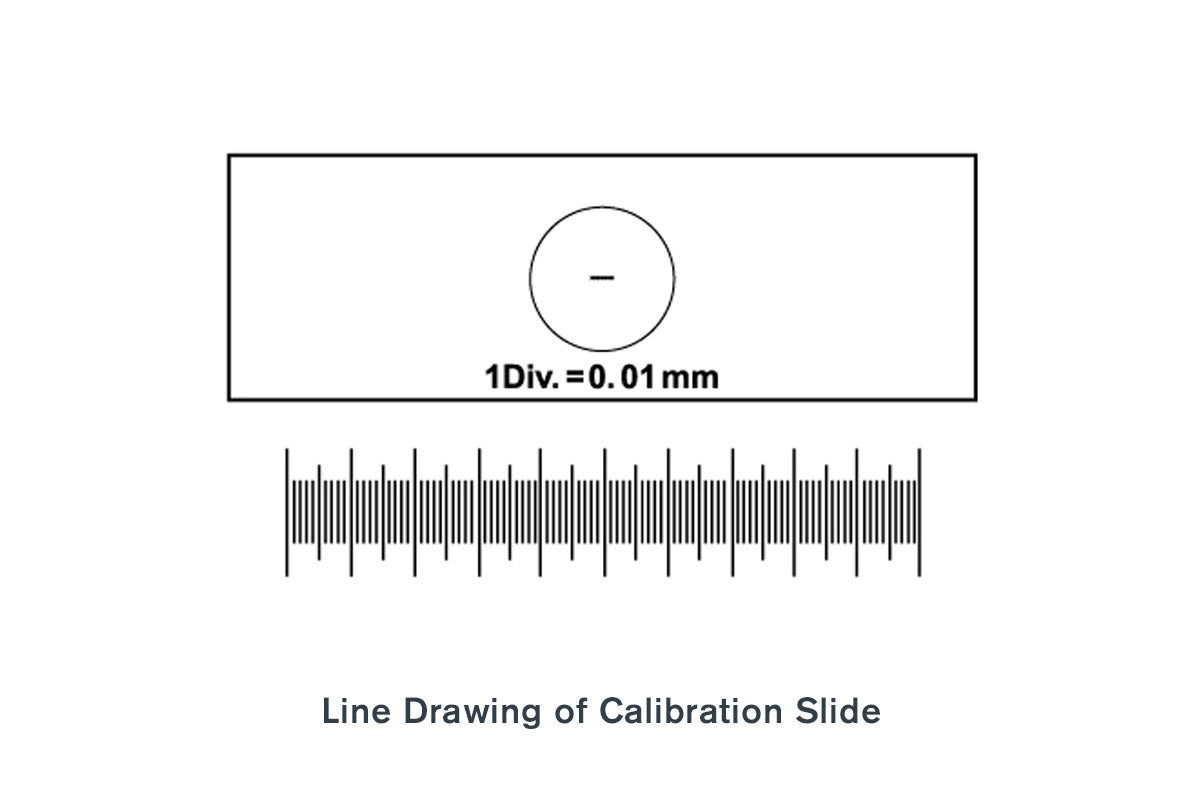 Celestron Labs Kalibrier-Objektträger Mikroskop 1mm/100