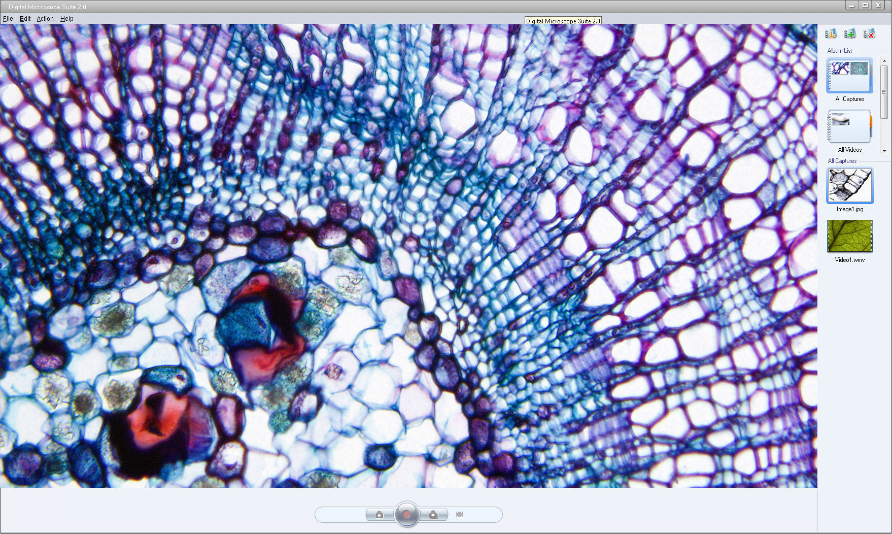 Celestron Labs Digital Microscope Imager Mikroskopkamera 2MP
