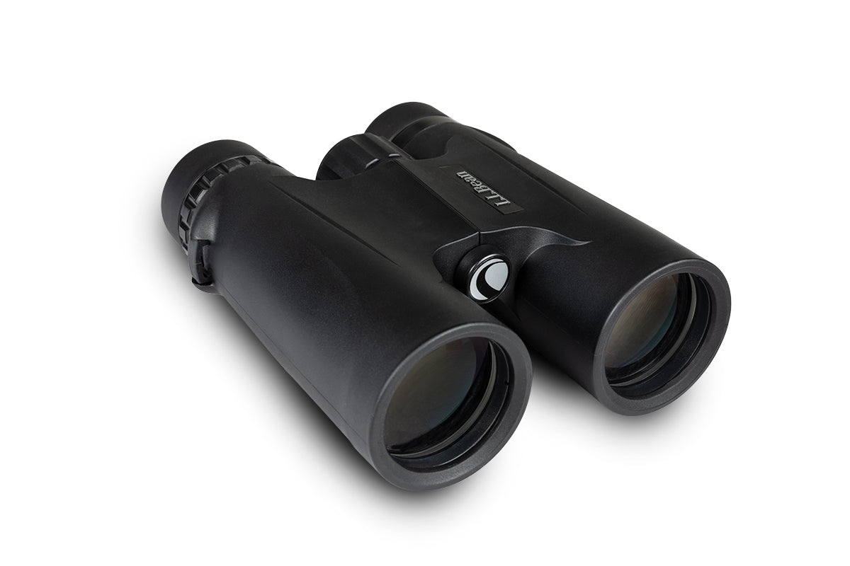 Celestron UpClose Discovery 10x42 Fernglas BaK-4