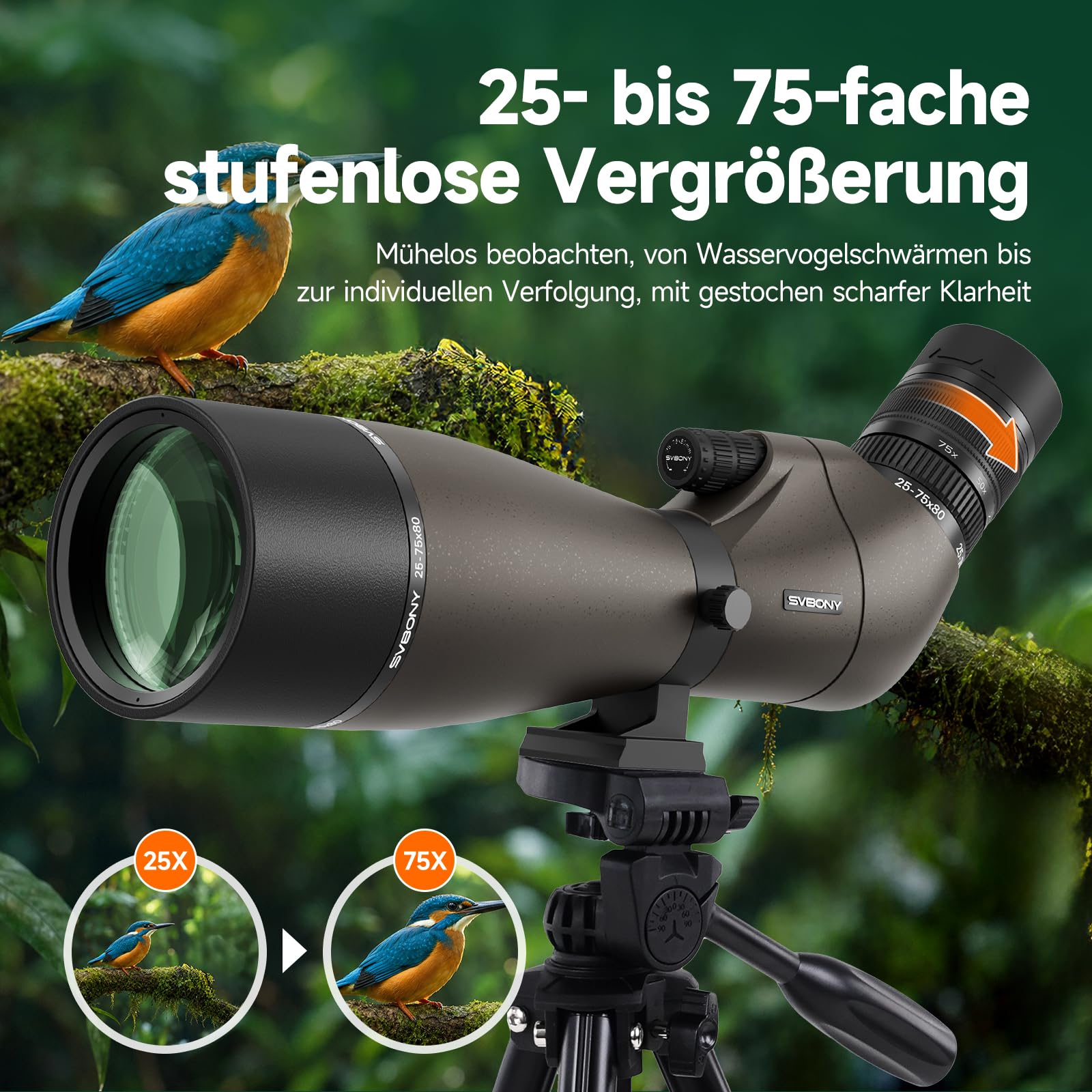 SVBONY SV29 Spektiv 25-75x80 mit Stativ Smartphone-Adapter