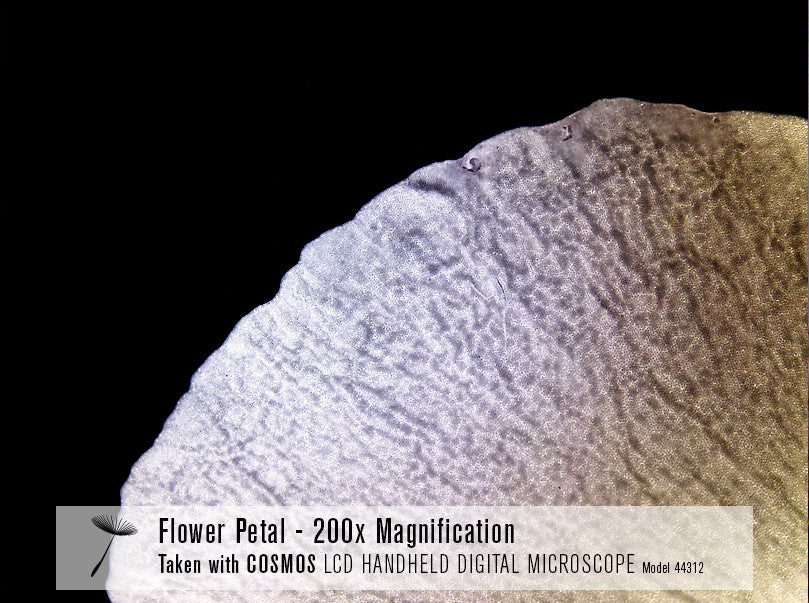 Celestron Labs COSMOS 3MP LCD Handmikroskop 54x digital
