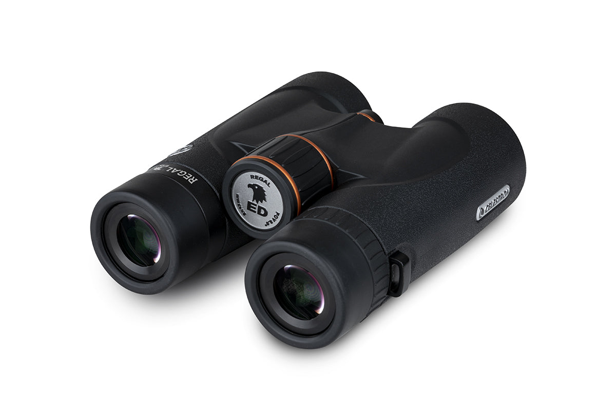 Celestron Regal ED 8x42 Fernglas Dachkant ED-Glas