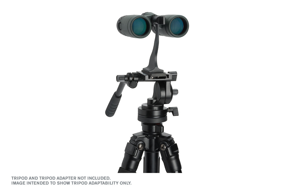 Celestron TrailSeeker 8x32 Fernglas Dachkant grün