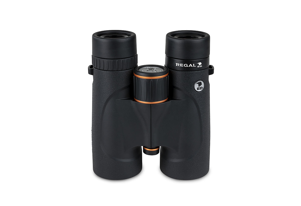 Celestron Regal ED 8x42 Fernglas Dachkant ED-Glas
