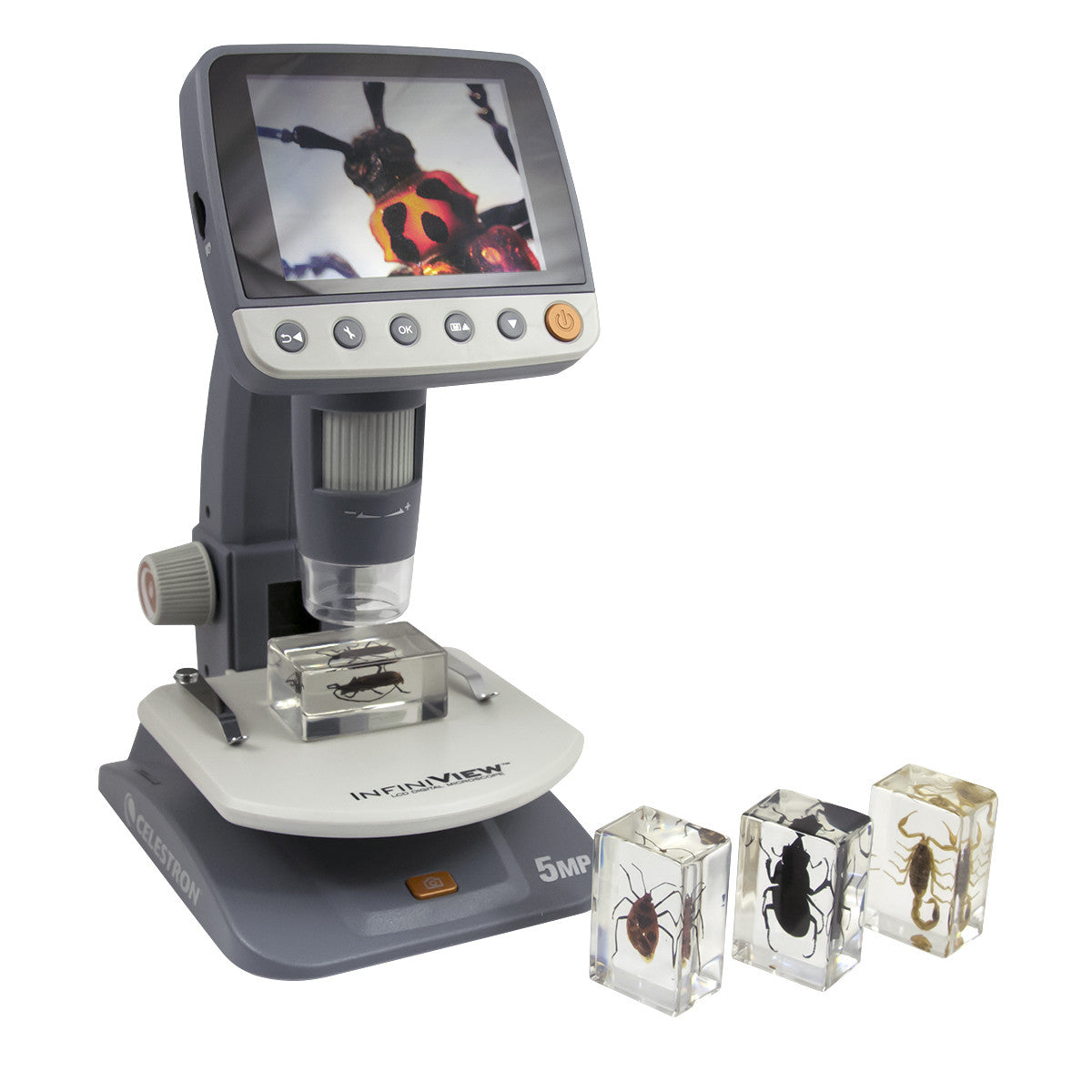 Celestron Labs 3D Insekten Präparate Set 4 Stück