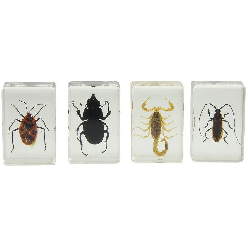 Celestron Labs 3D Insekten Präparate Set 4 Stück