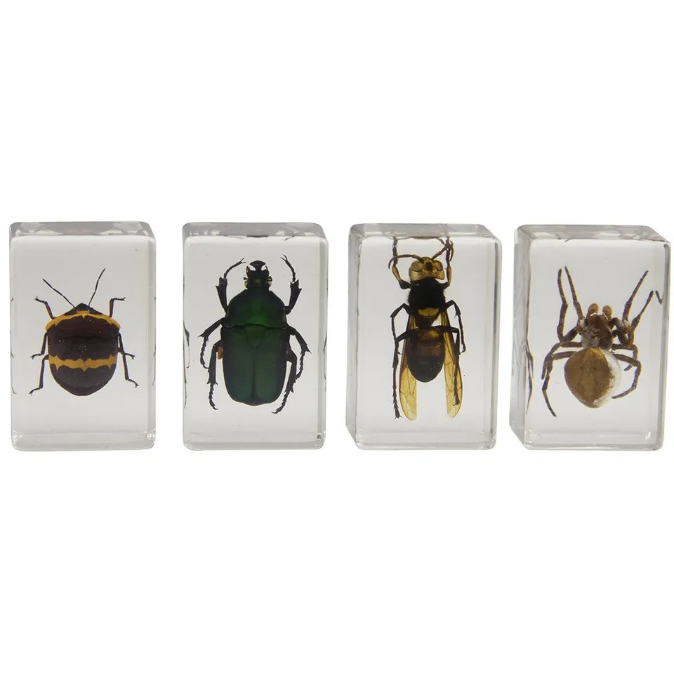 Celestron Labs 3D Insekten Set Kit 2 Harz 4 Präparate
