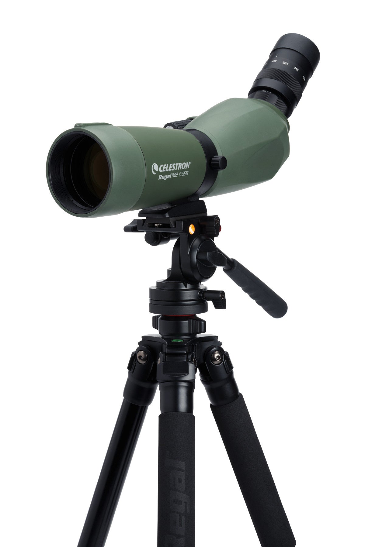 Celestron Regal M2 16-48x65 Spektiv gebraucht angled