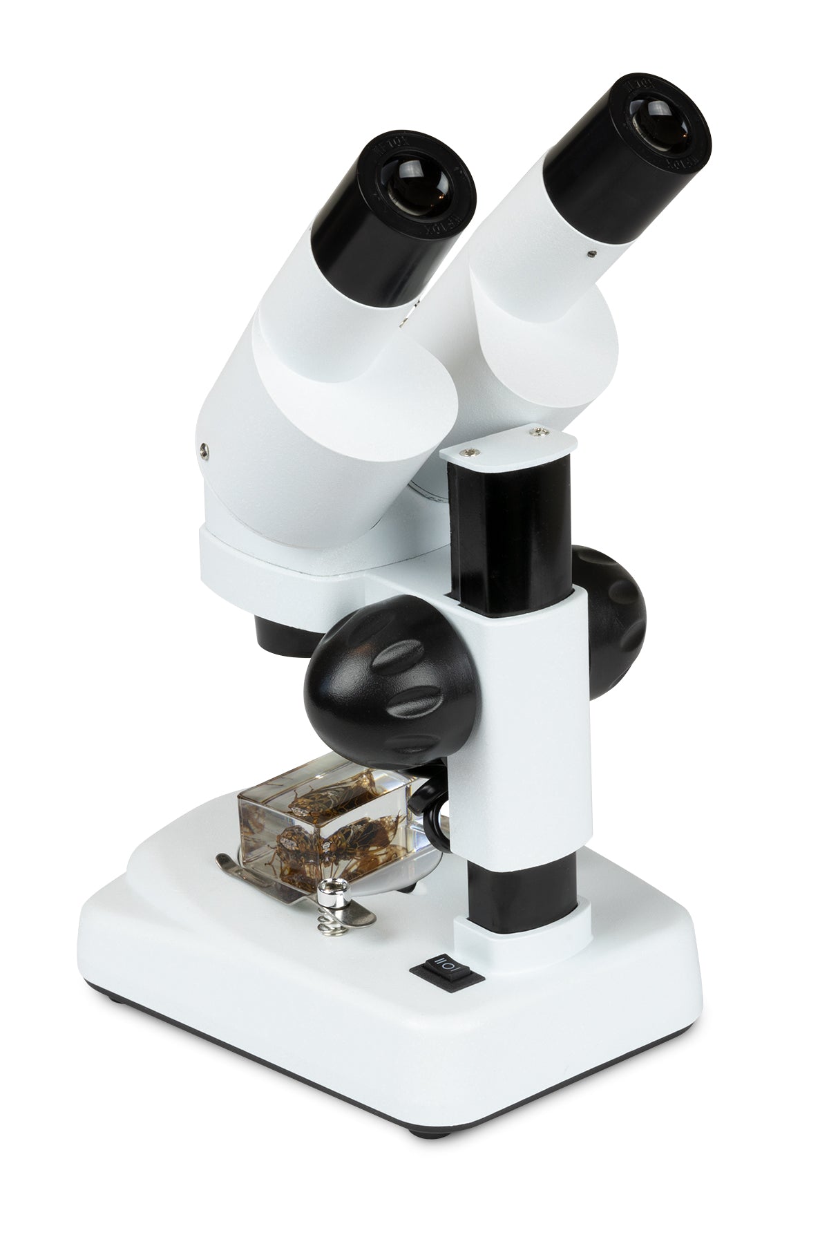 Celestron Labs S20 Stereo Mikroskop 20x LED abgewinkelt