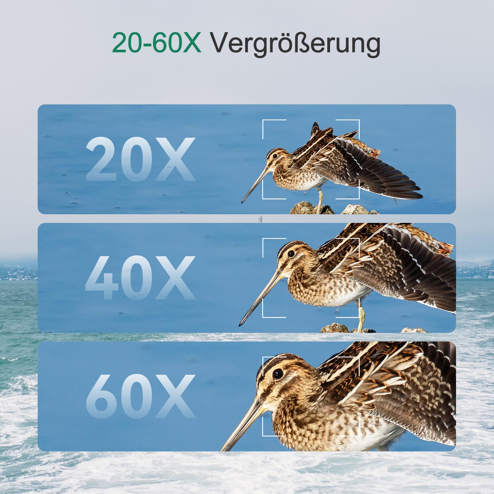SVBONY SV406P ED Spektiv 20-60x80 Dual Focus BAK-4