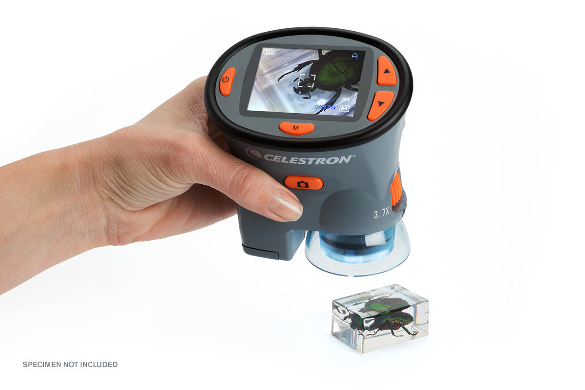 Celestron Labs LCD Handmikroskop digital 54x 3MP