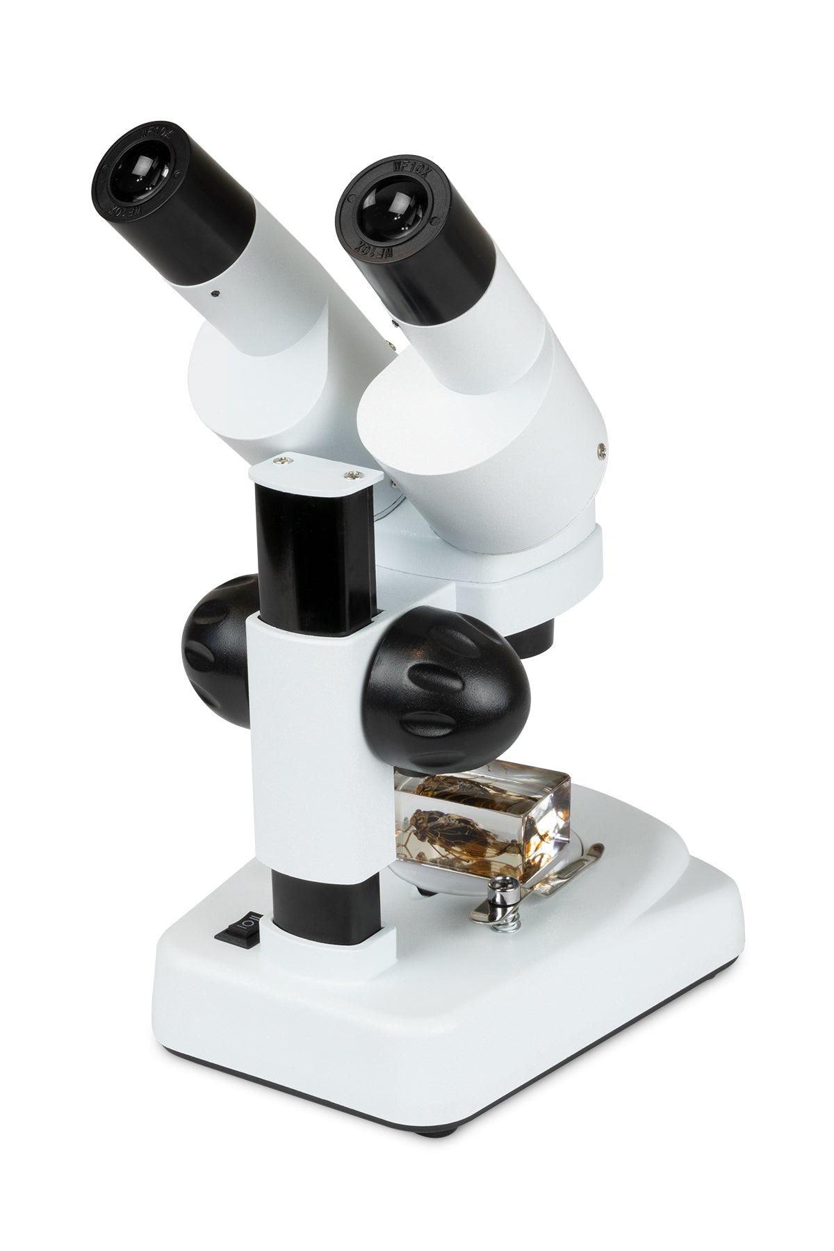 Celestron Labs S20 Stereo Mikroskop 20x LED abgewinkelt