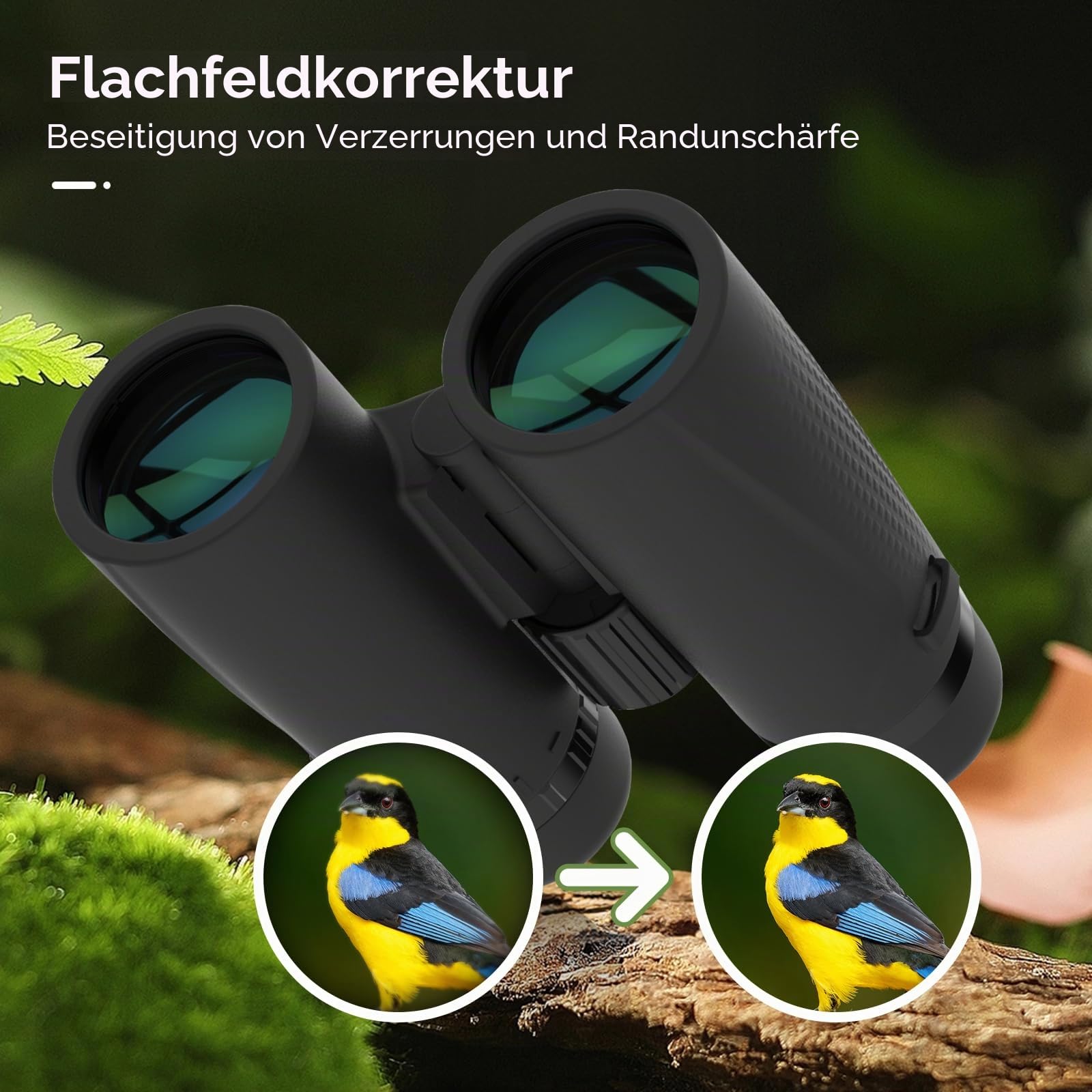 SVBONY SA205 ED Fernglas 8x42 Flat-Field IP67