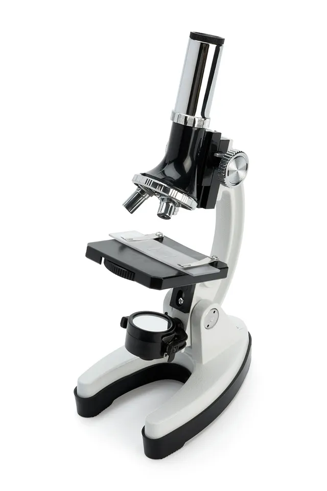 Celestron Labs Kids Basic Mikroskop-Set 100x-1200x