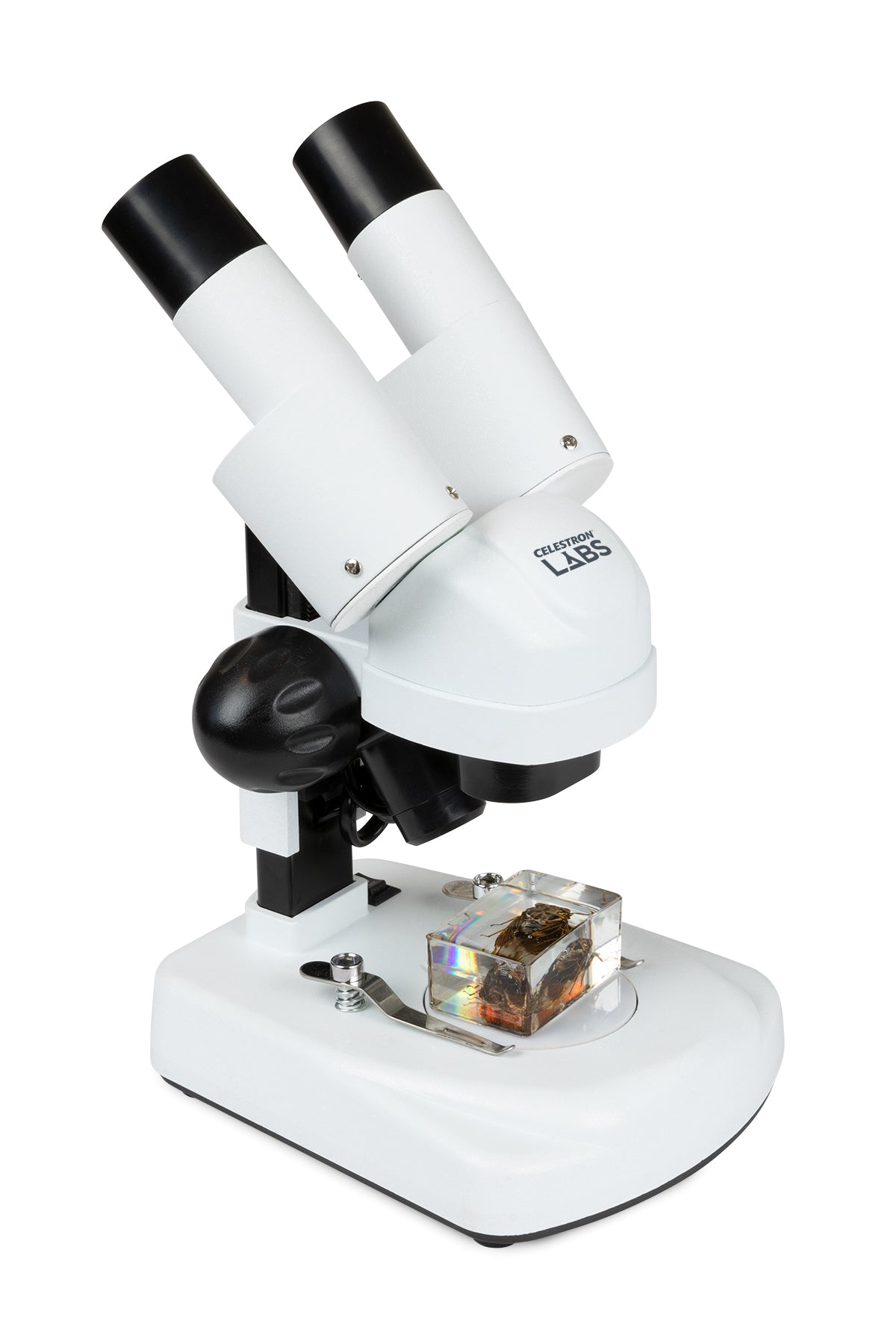 Celestron Labs S20 Stereo Mikroskop 20x LED abgewinkelt