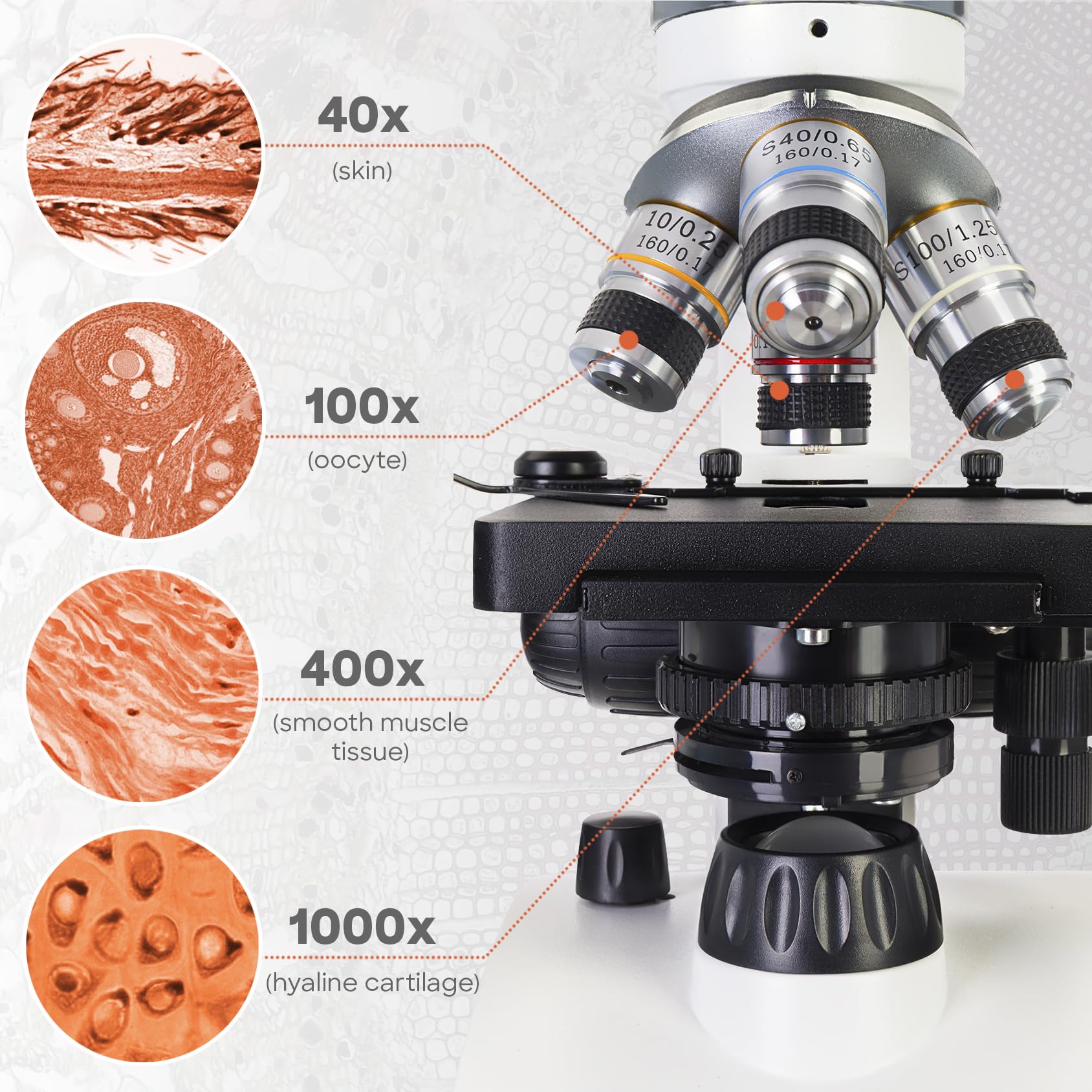 Levenhuk Discovery Atto Polar Digitalmikroskop 40-1000x 5MP