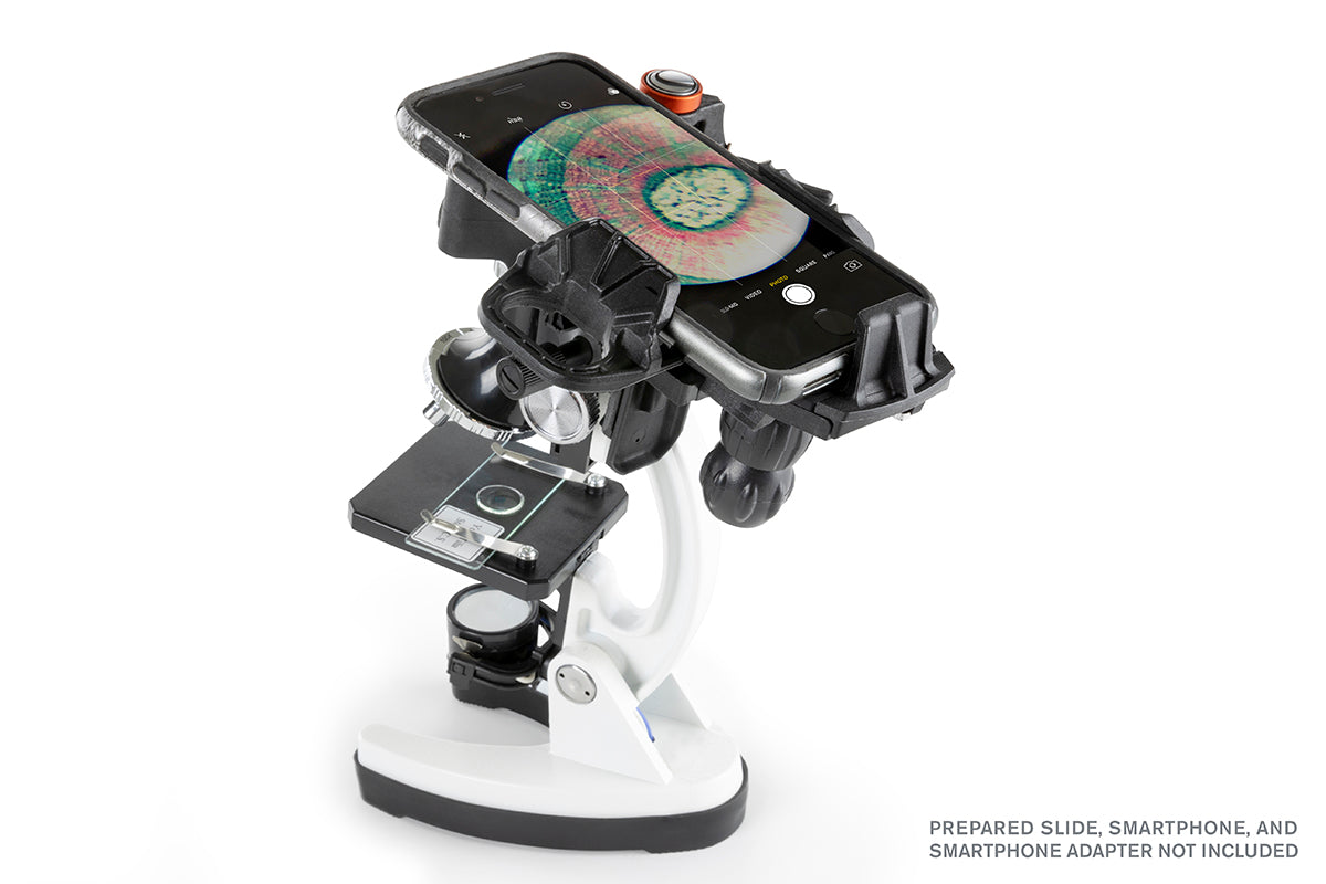 Celestron Labs Kids Basic Mikroskop-Set 100x-1200x