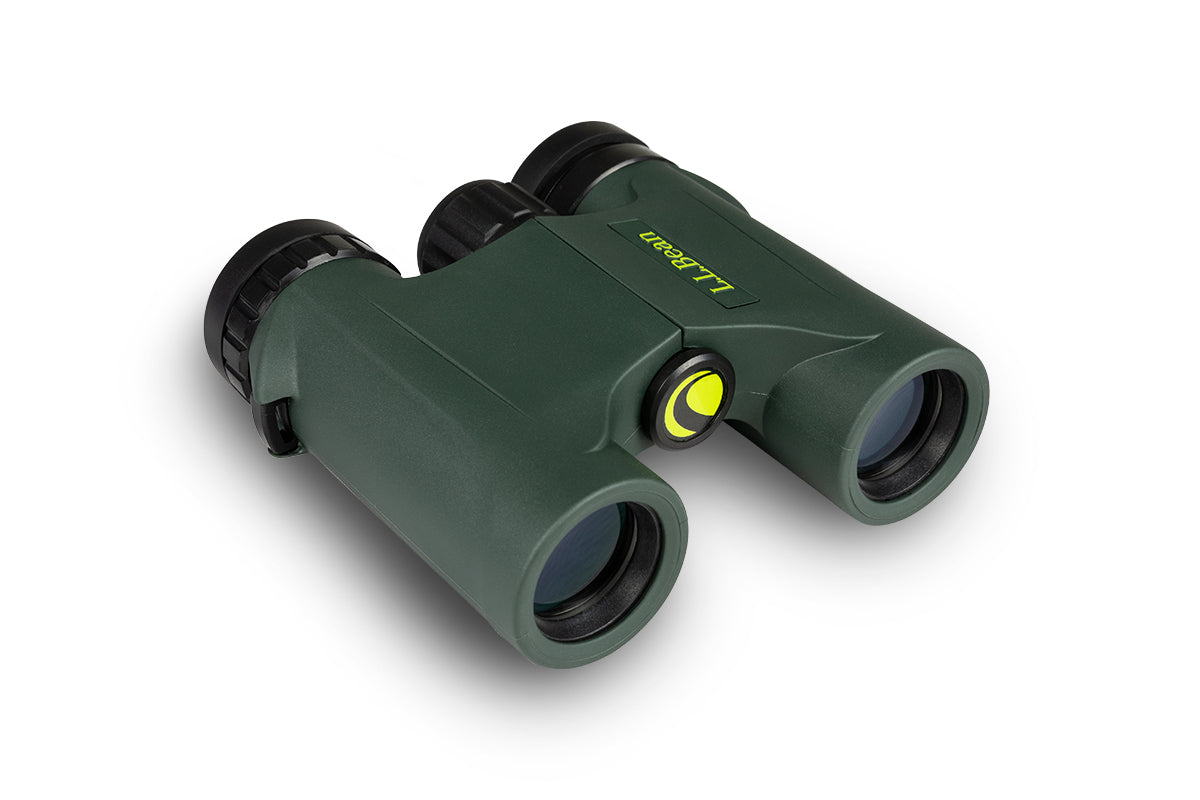 Celestron Discovery Fernglas 10x25 kompakt grün wasserdicht