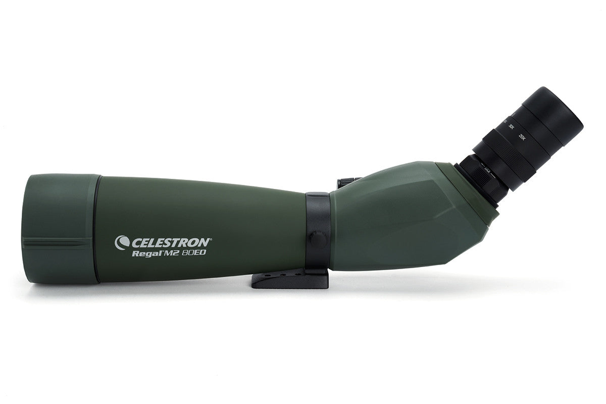 Celestron Regal M2 20-60x80 Spektiv ED abgewinkelt Zoom
