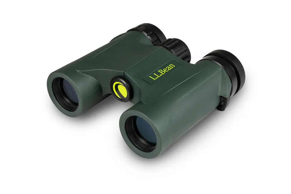 Celestron Discovery Fernglas 10x25 kompakt grün wasserdicht