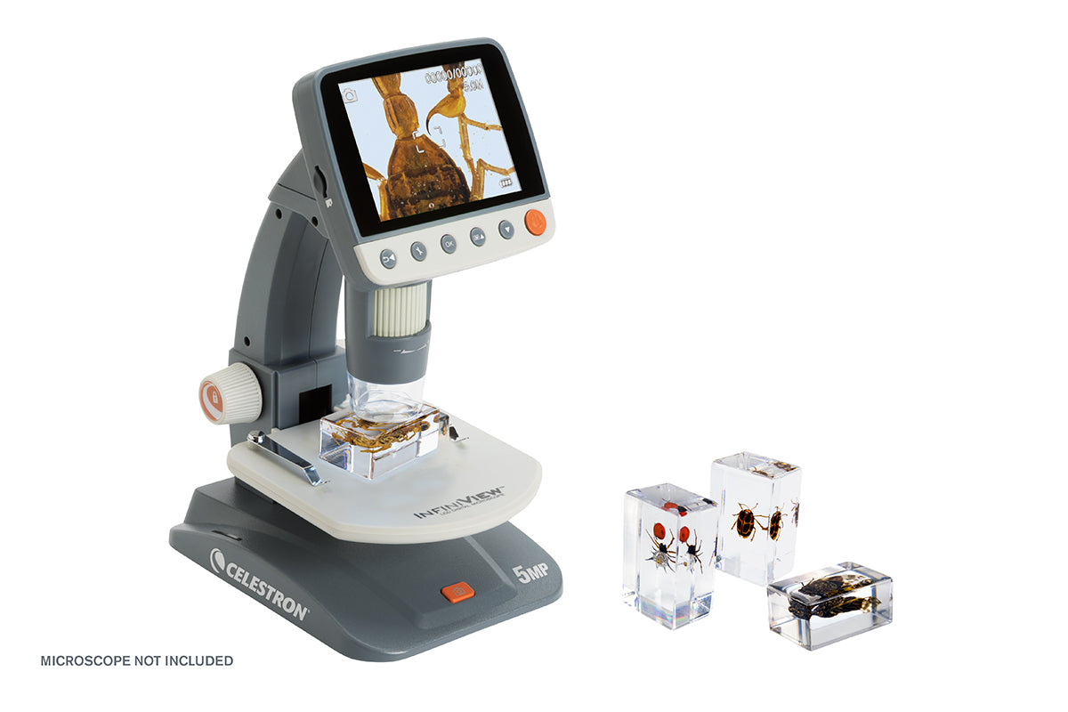 Celestron Labs 3D Insekten Präparate Set 4 Stück Harz