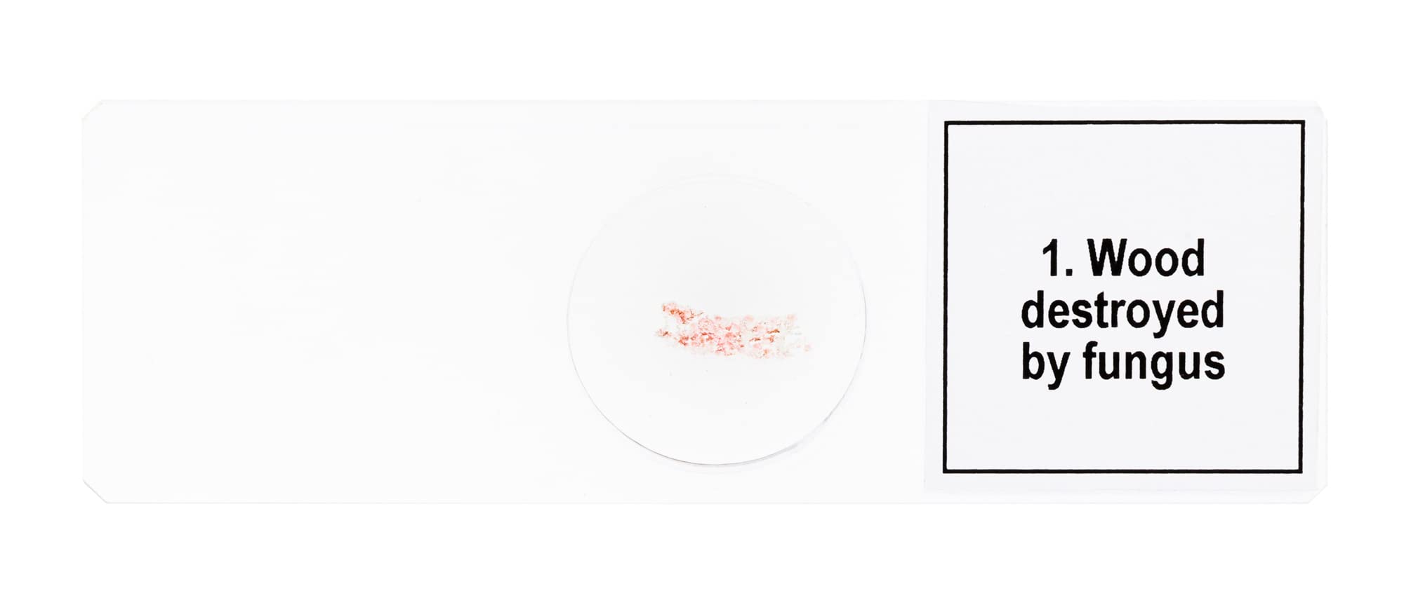 Levenhuk Discovery Prof DPS 5 Präparate-Set Mutationen 5 Stk