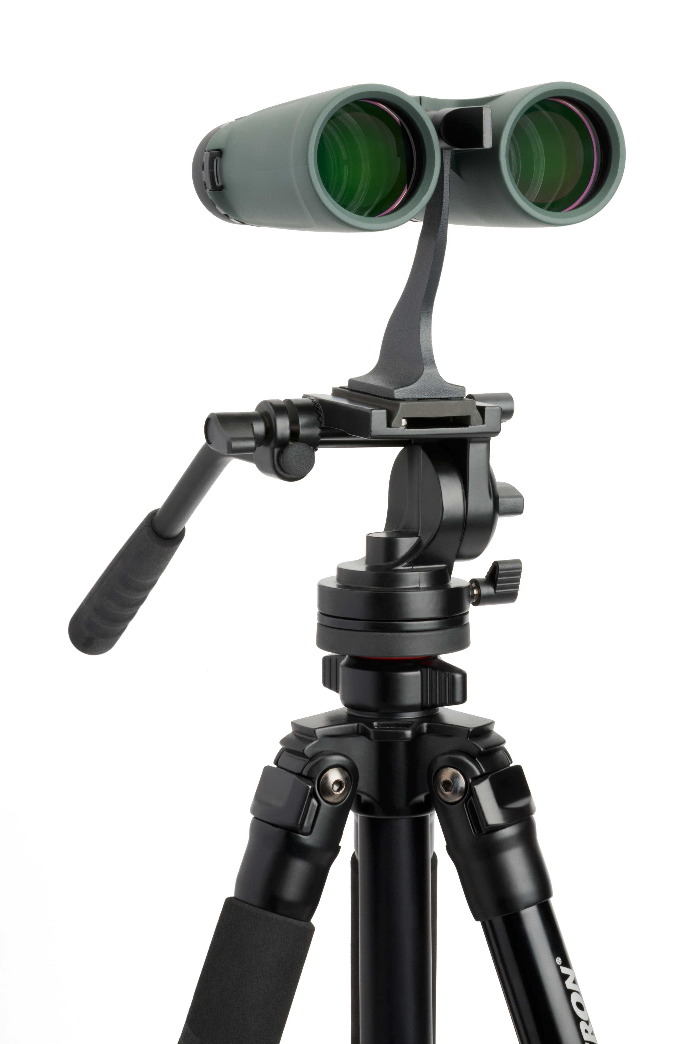 Celestron Outland X 10x42 Fernglas Dachkant grün