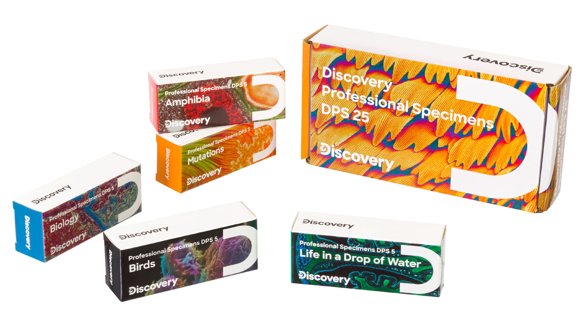 Levenhuk Discovery DPS 5 Präparate-Set Amphibien 5 Stück