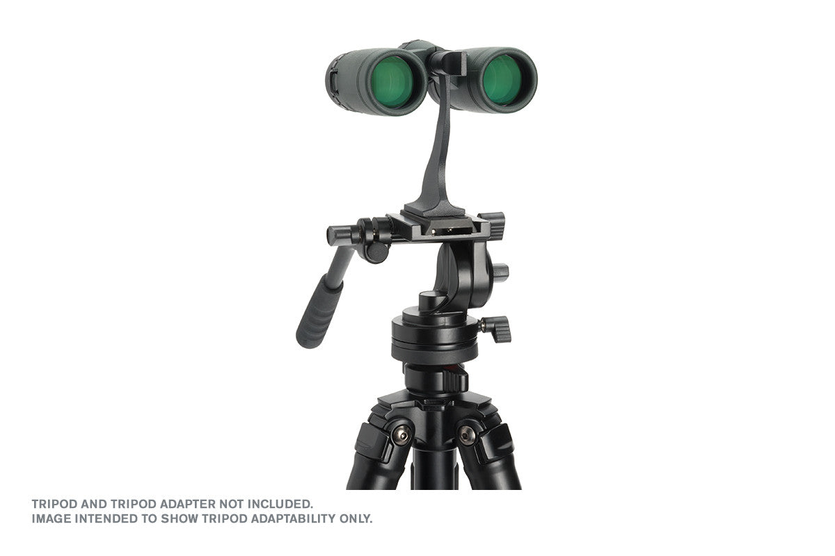 Celestron TrailSeeker 10x32 Fernglas Dachkant grün