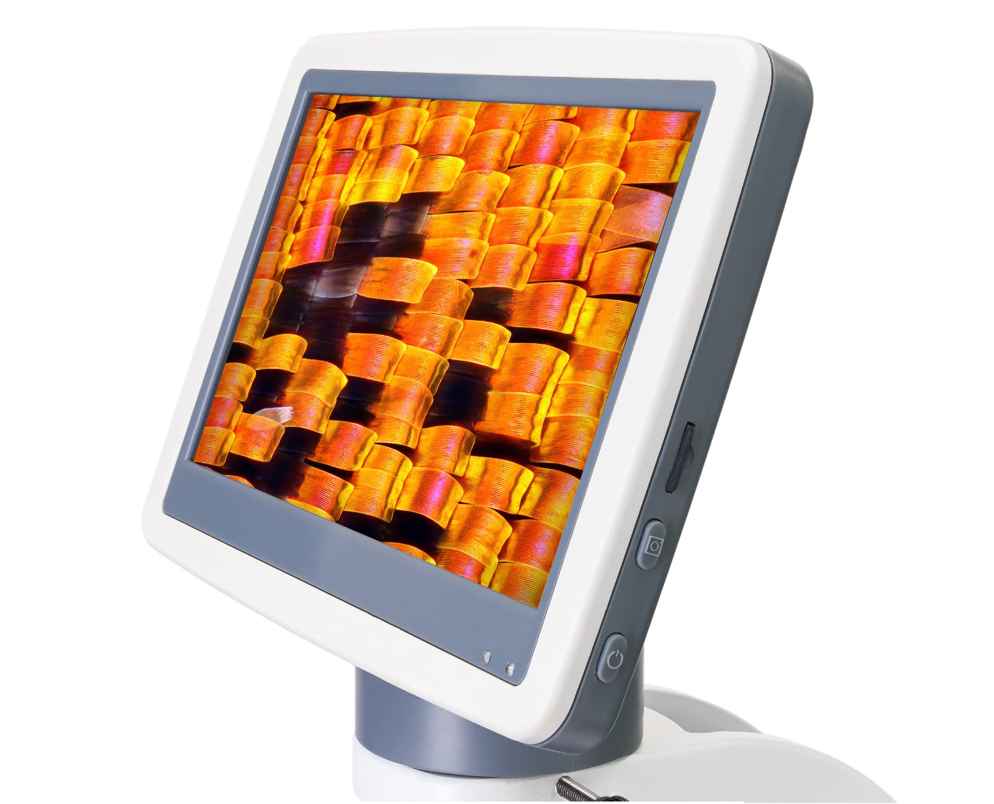 Levenhuk D95L LCD Labormikroskop 40-1000x 7 Zoll
