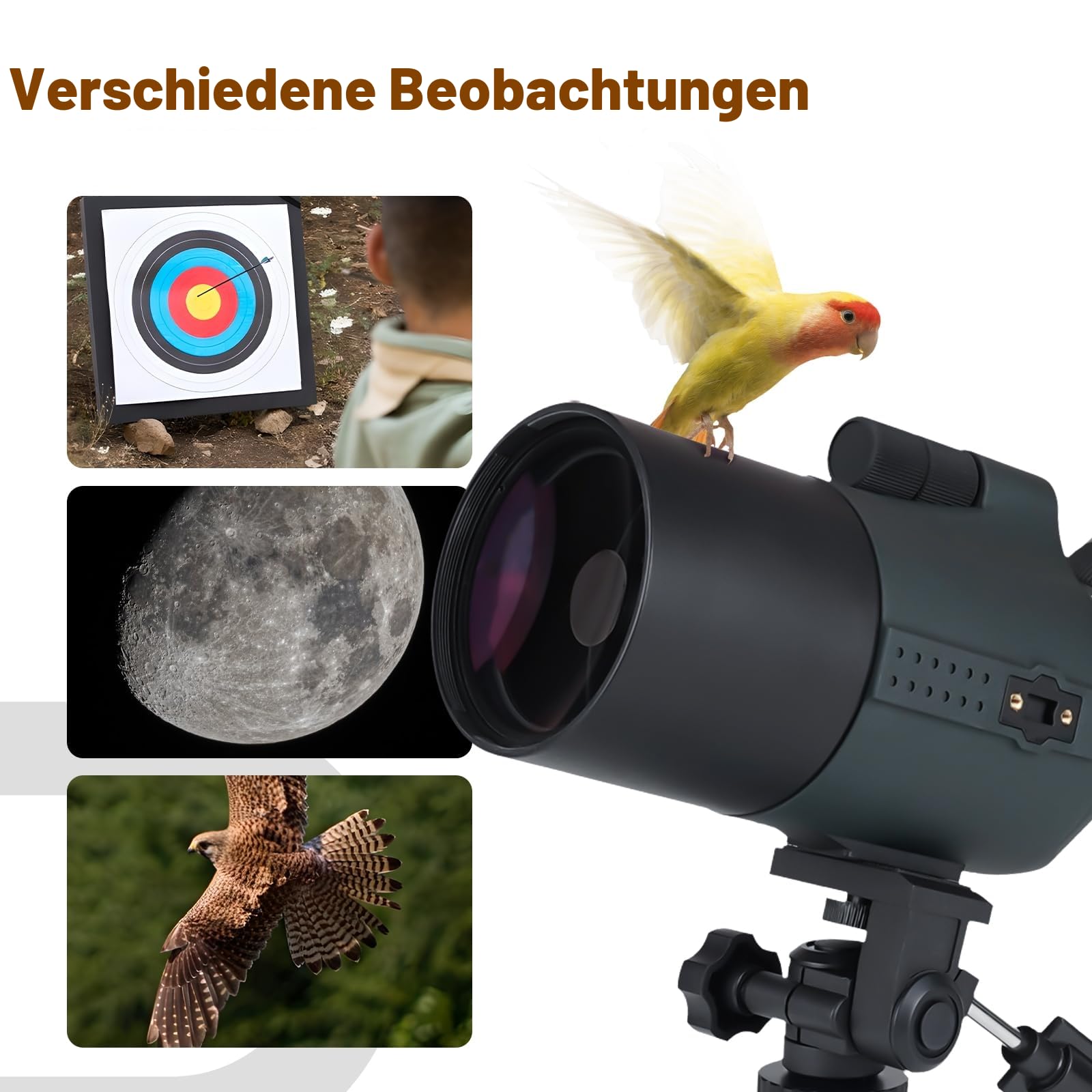 SVBONY SV41Pro Mak Spektiv 28-84x80 mit Sucherfernrohr