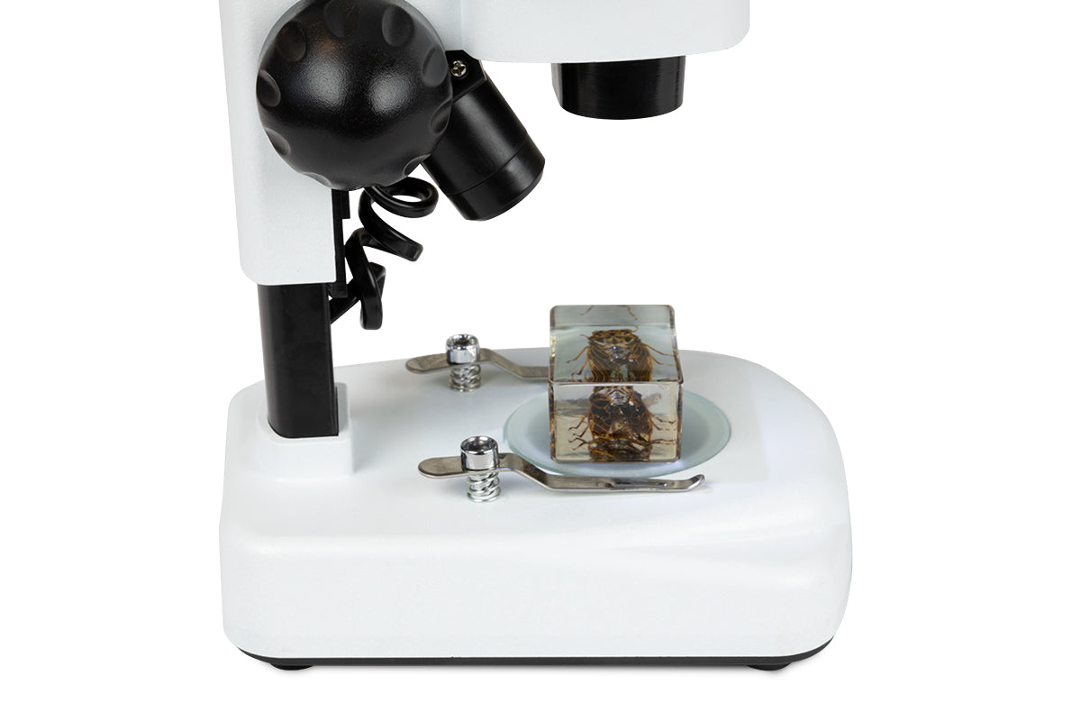 Celestron Labs S20 Stereo Mikroskop 20x LED abgewinkelt