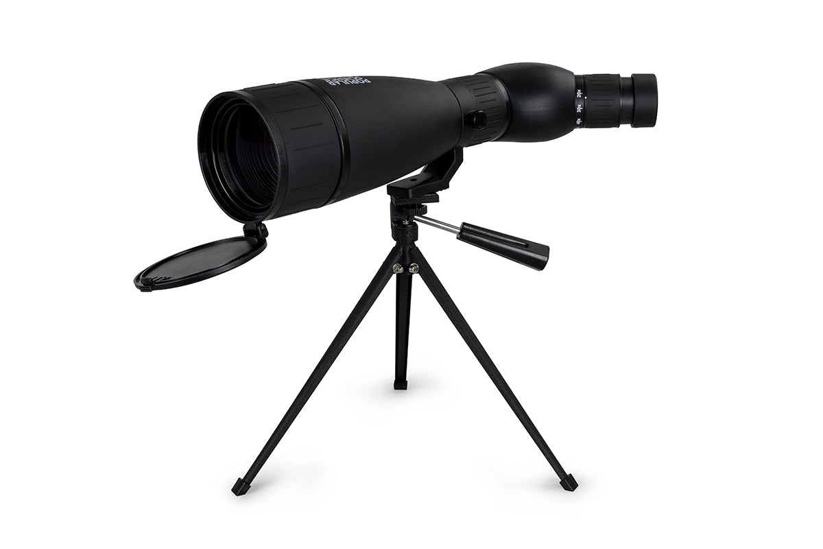 Celestron LandScout 20-60x80 Spektiv Set Handyadapter