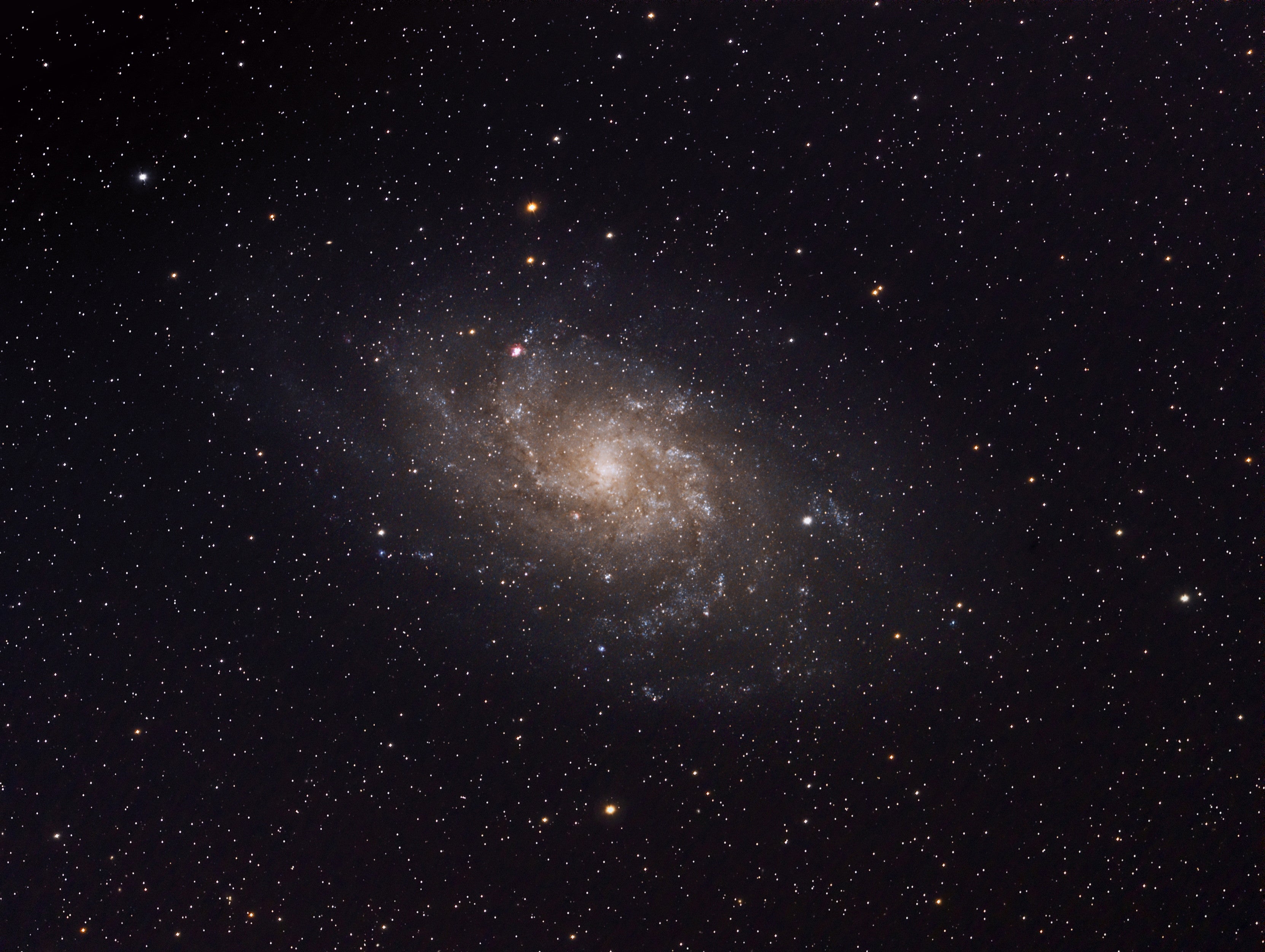 Celestron RASA 11 Astrograf Tubus 280 mm f/2,2 CGE