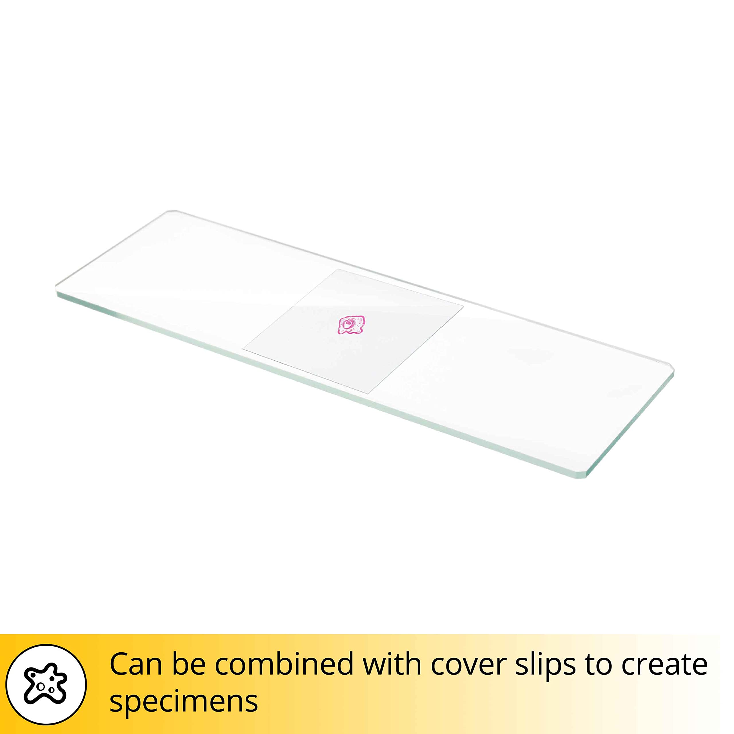 Levenhuk Discovery 50 Blank Slides Objektträger Glas 50 Stück