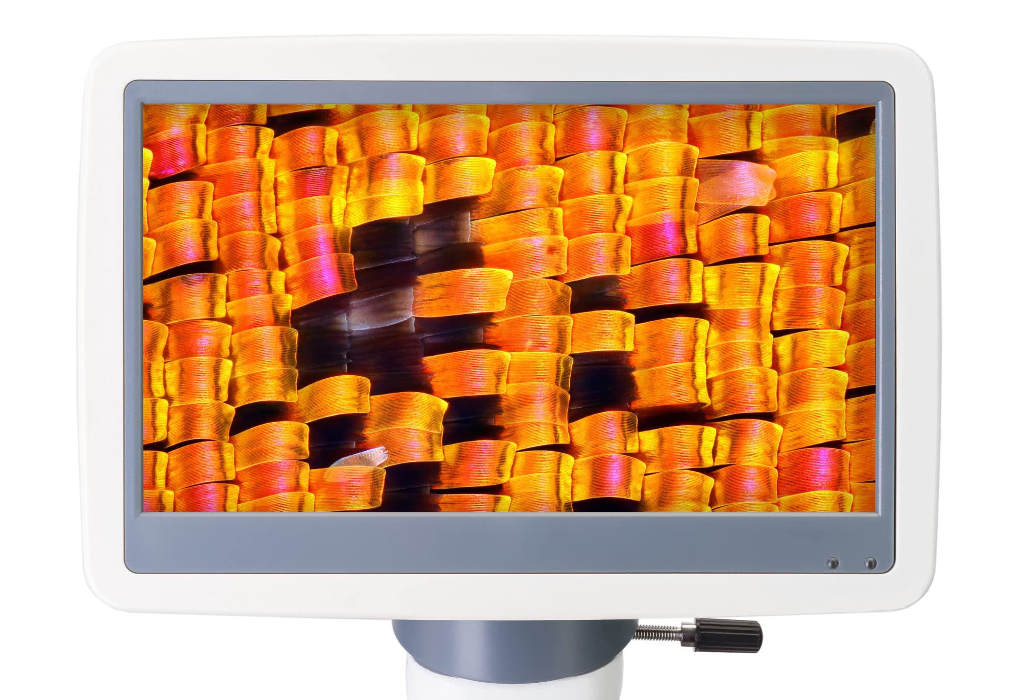 Levenhuk D95L LCD Labormikroskop 40-1000x 7 Zoll