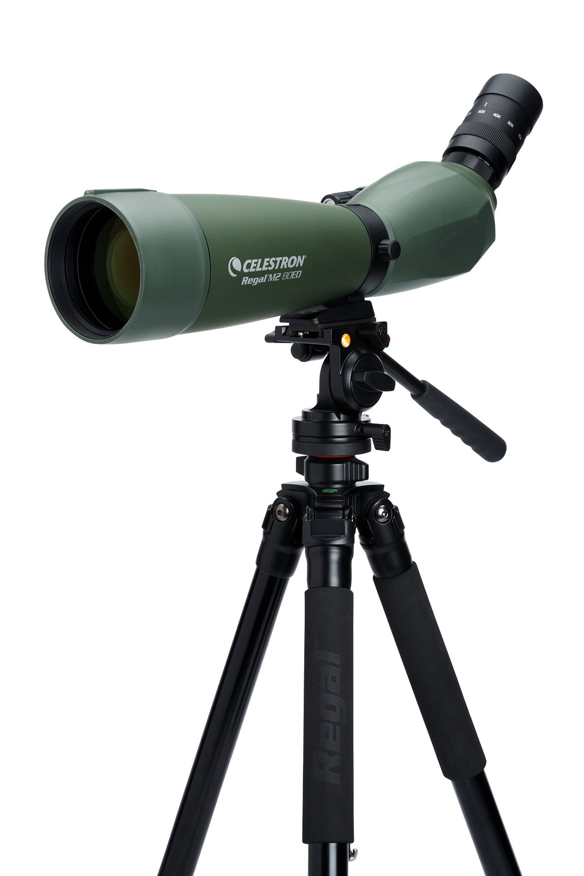 Celestron Regal M2 20-60x80 Spektiv ED abgewinkelt Zoom
