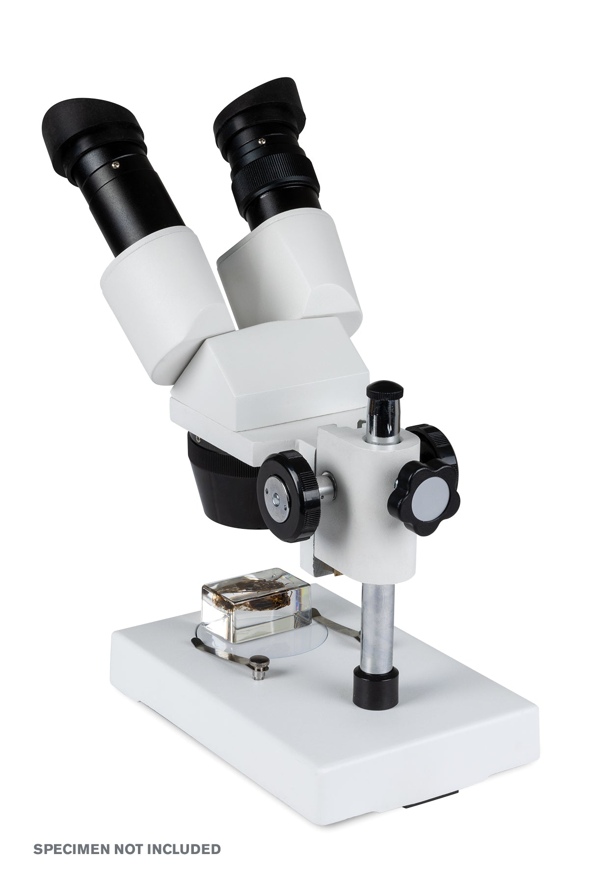 Celestron Labs S1030N Stereo-Mikroskop 10x 30x