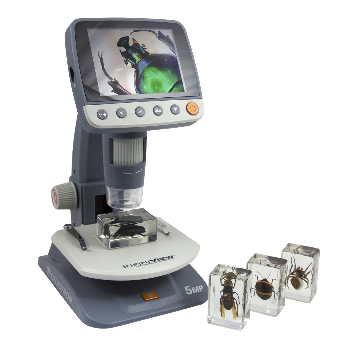 Celestron Labs 3D Insekten Set Kit 2 Harz 4 Präparate