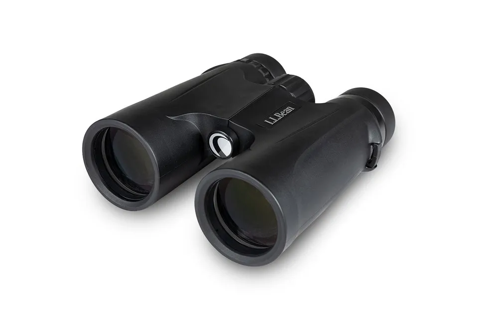Celestron UpClose Discovery 10x42 Fernglas BaK-4