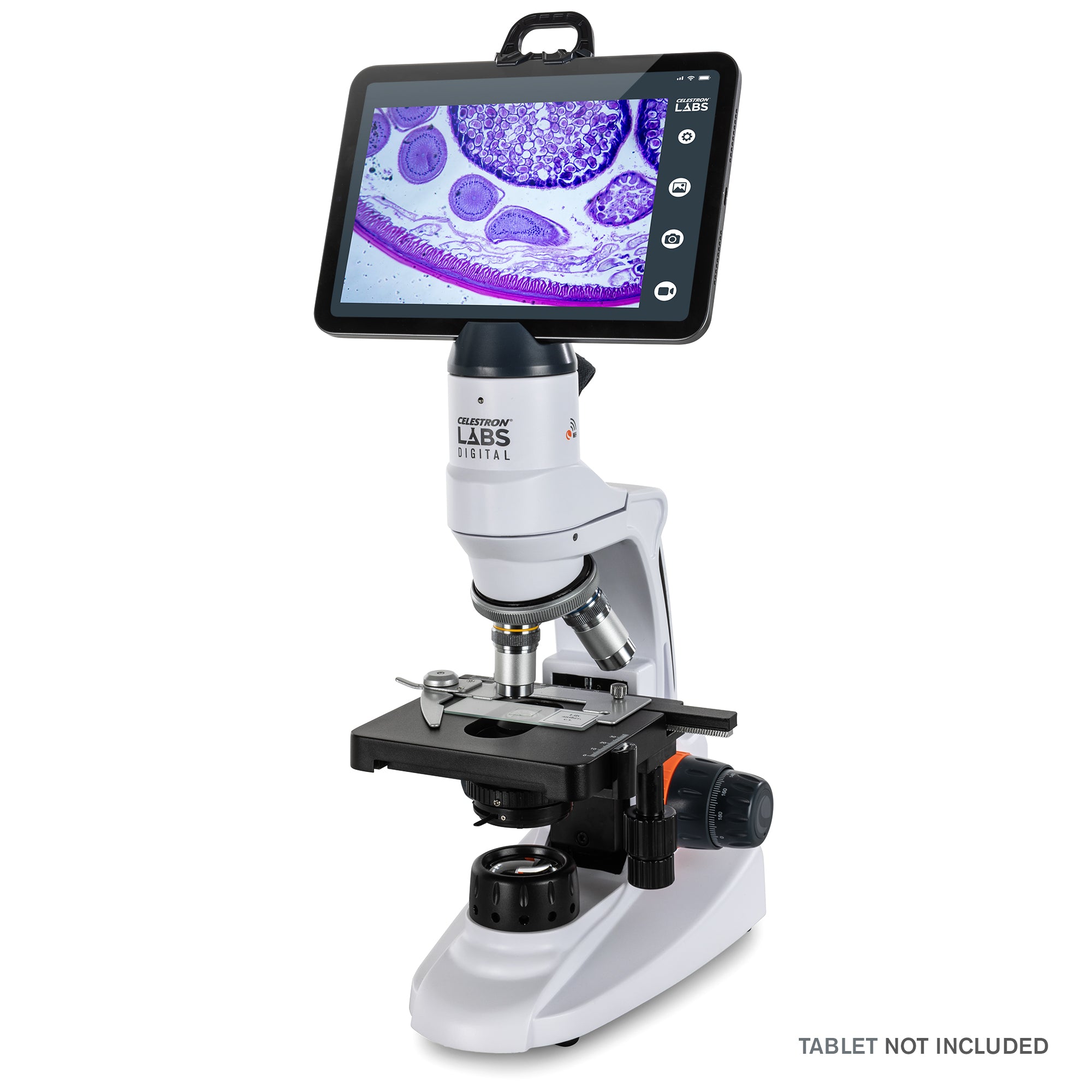 Celestron Labs WLAN-Desktop-Mikroskop Digital 480x LED