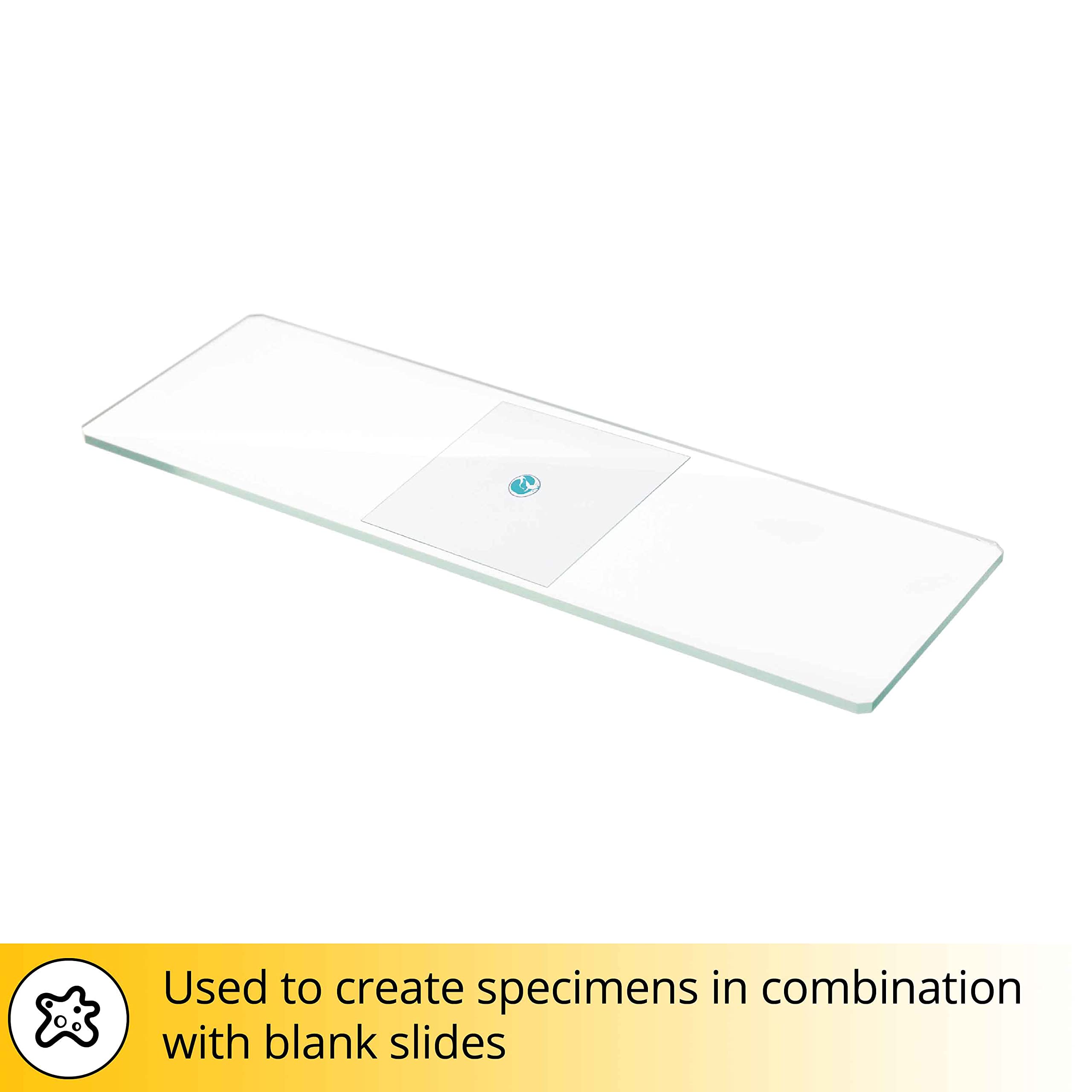 Discovery Deckgläser 100 Stück 24x24mm Glas